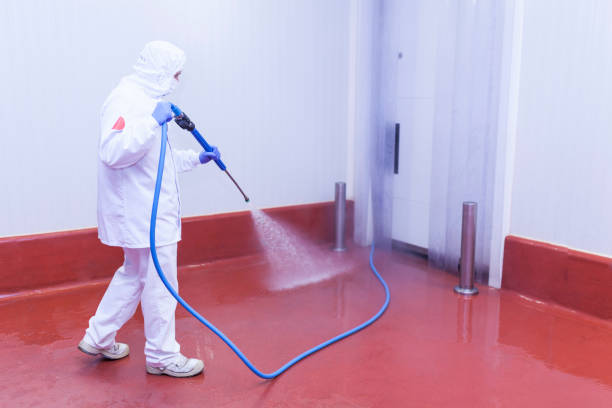 Best Graffiti Removal  in Carol Stream, IL