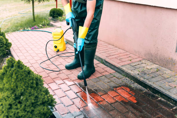 Best Dumpster Area Cleaning  in Carol Stream, IL