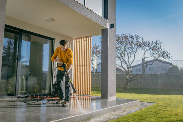 Spring Cleaning in Carol Stream, IL