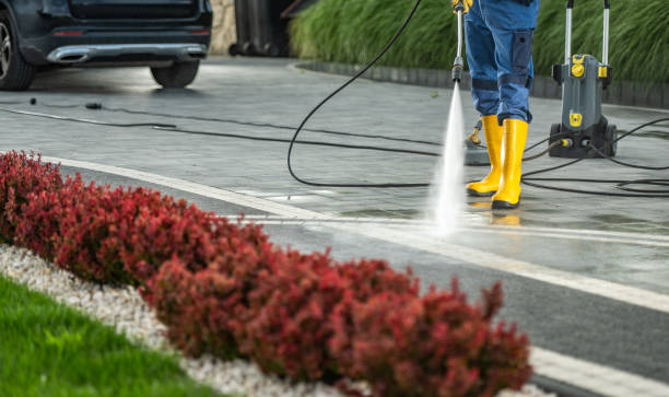 Best Fence Cleaning  in Carol Stream, IL